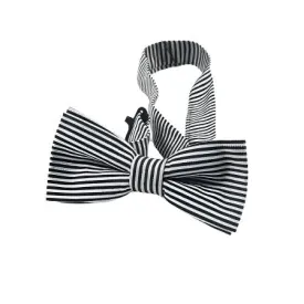 Appaman Bowtie Black Bengal Stripe